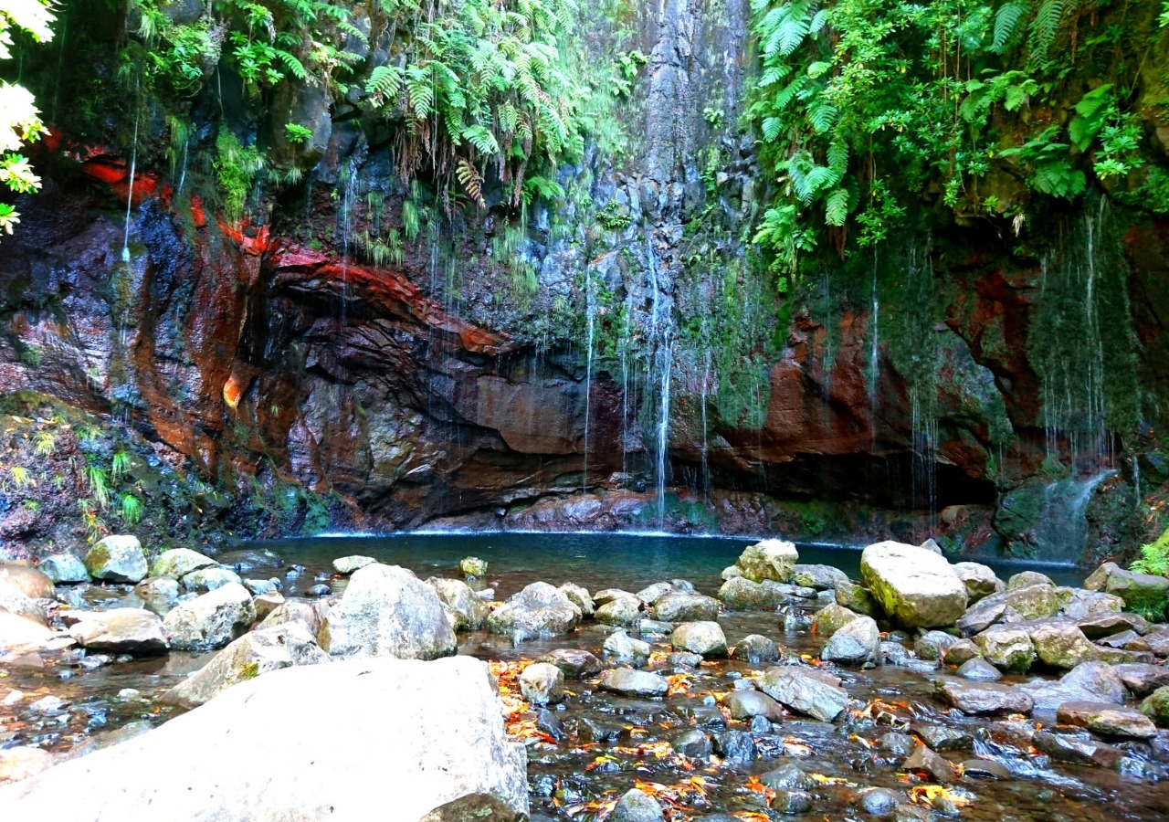 Discover Brazil