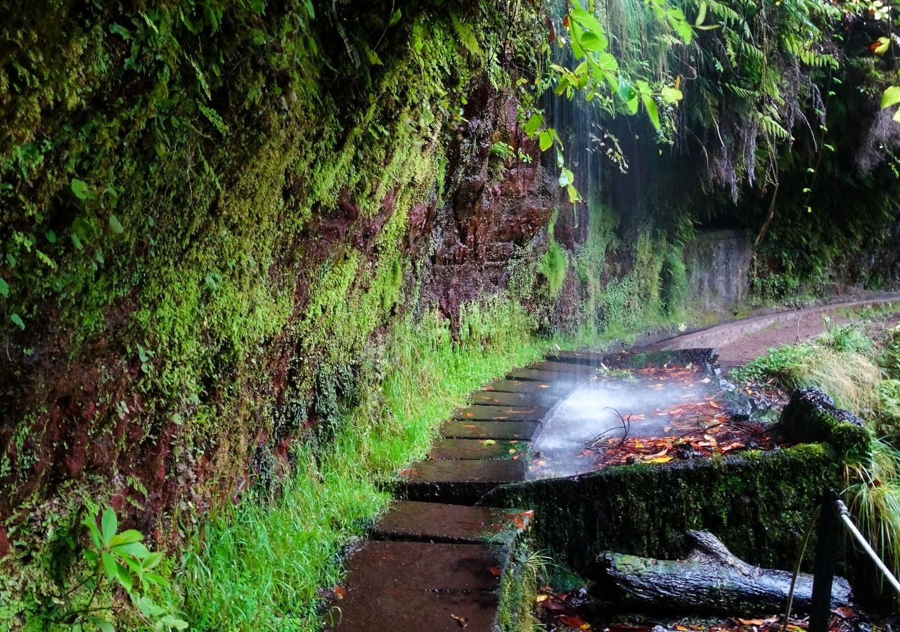 Discover Brazil
